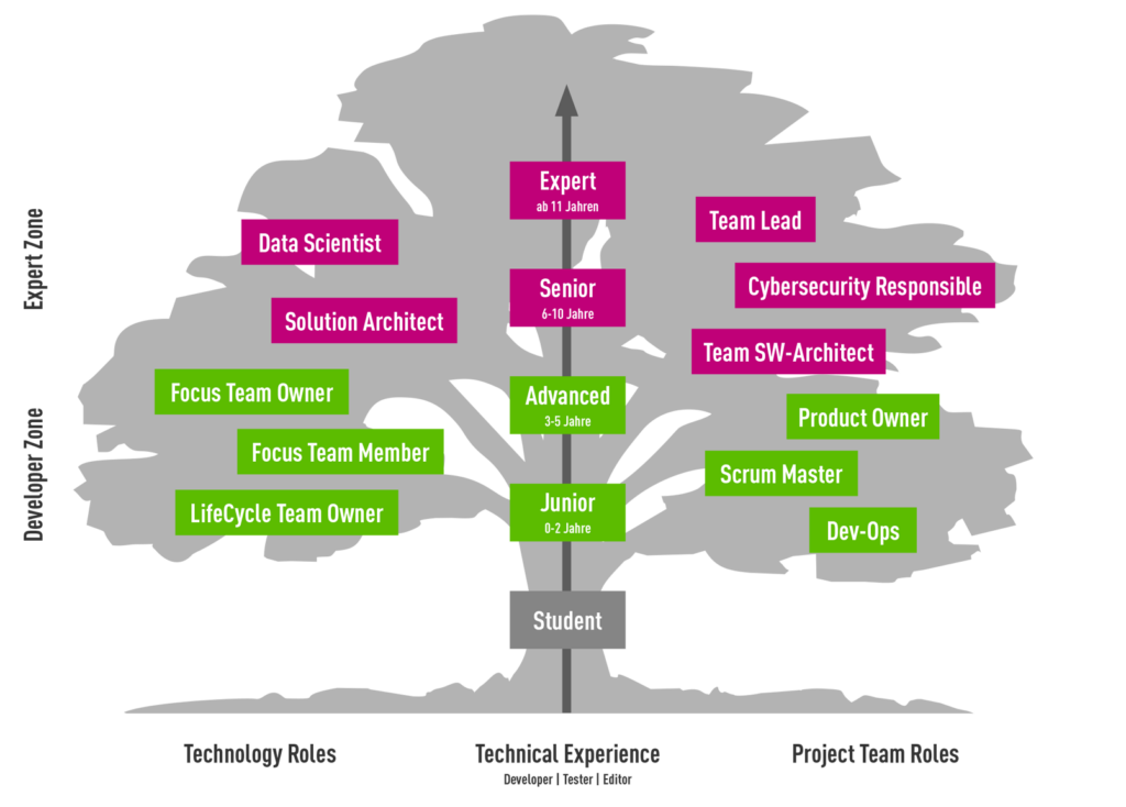Technische Rollen und Entwicklungsmöglichkeiten
