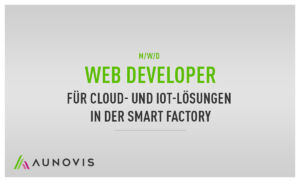 Web Developer bei AUNOVIS